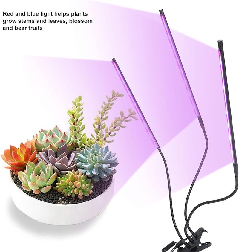 LED Grow Light 3 Head 30W with Timer Five Level Dimming for Indoor Succulent Growth - Image 5